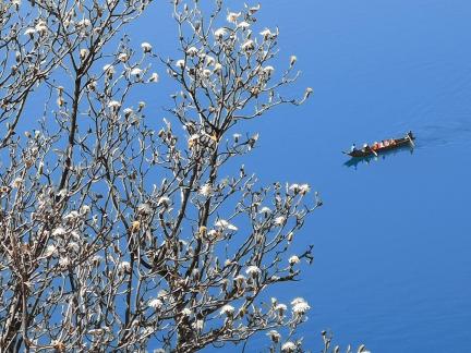 Reflecting on the Blue Sky 12
