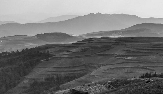 The longing of the earth 8