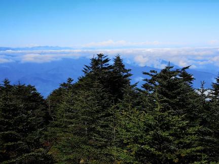 Green Mountain 1