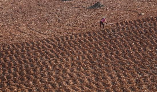 The longing of the earth 1