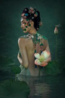 Lotus Seed Pod2
