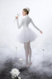 White Chrysanthemum