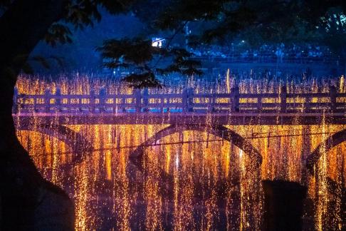 Full bloom of fireworks