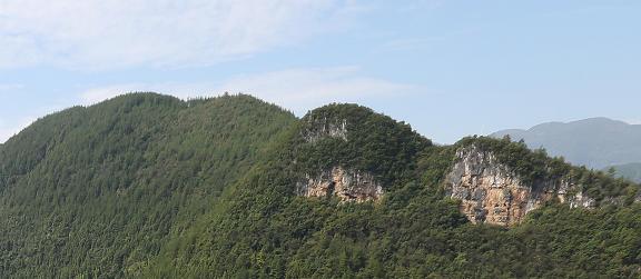 Green in the Green Mountains 4