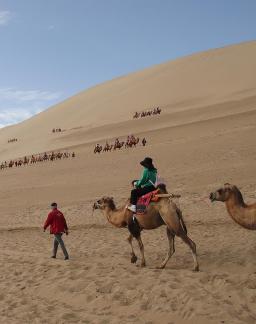 Desert Journey 65