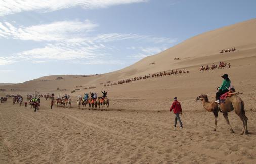 Desert Journey 66