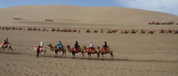 Desert Journey 67