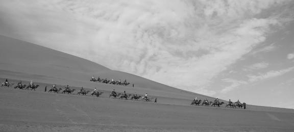 Desert Journey 69