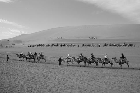 Desert Journey 70