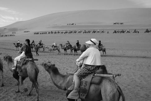 Desert Journey 71