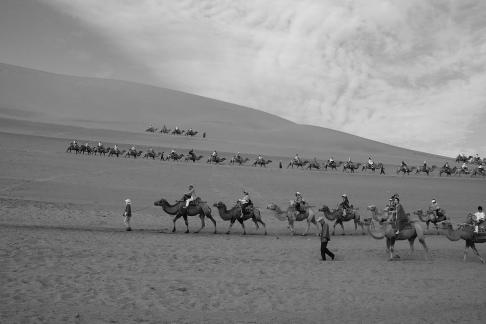 Desert Journey 72
