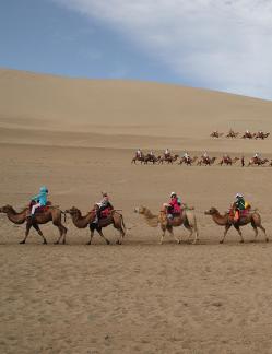 Desert Journey 74
