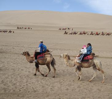Desert Journey 76