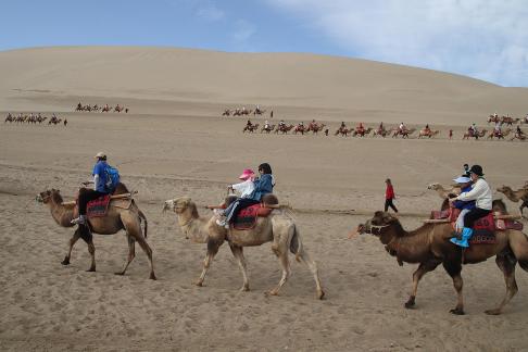 Desert Journey 77