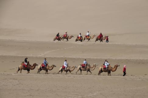 Desert Journey 79