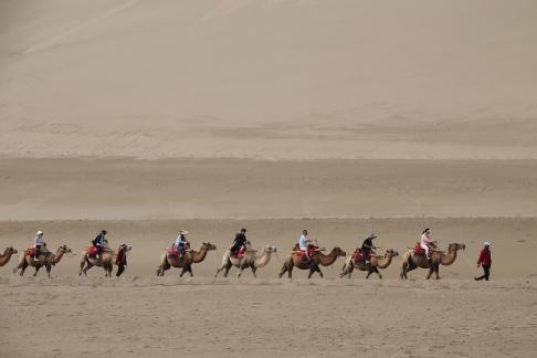 Desert Journey 80