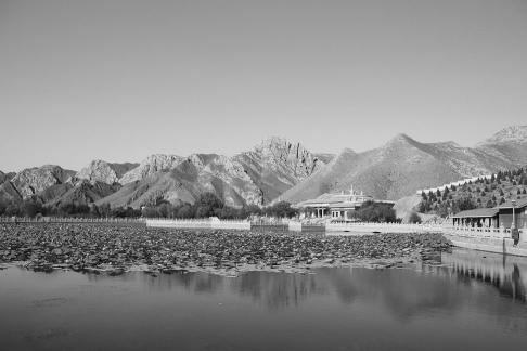Western Xia Buddhist Kingdom 3