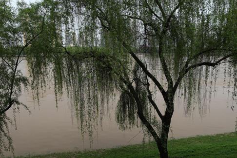 If I were in Jiangnan 37