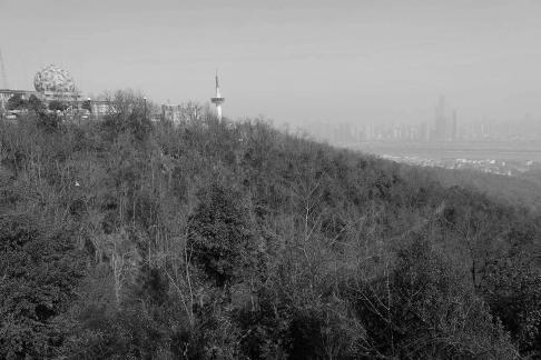 Journey to Yuelu Mountain 66