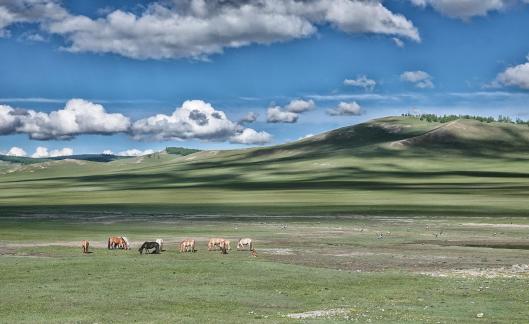 Mongolian landscape