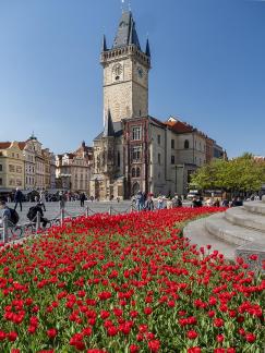 Prague Tulip Tower