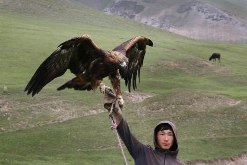 Eagle Hunter Kyrgyzstan