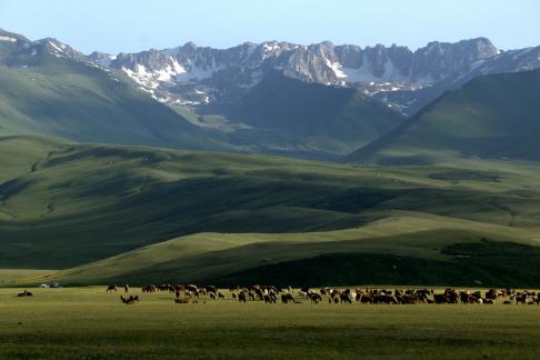 Suusamyr Valley Kyrgyzstan