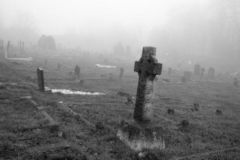 Cemetery in mist