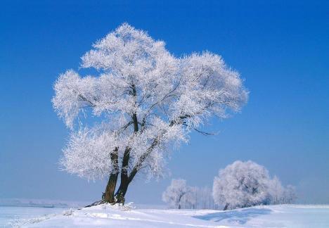 Beautiful Rime by the River