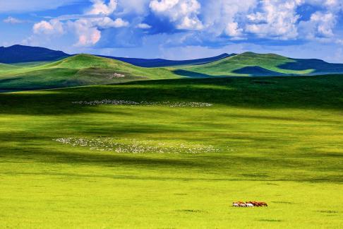 The vast and beautiful grasslands