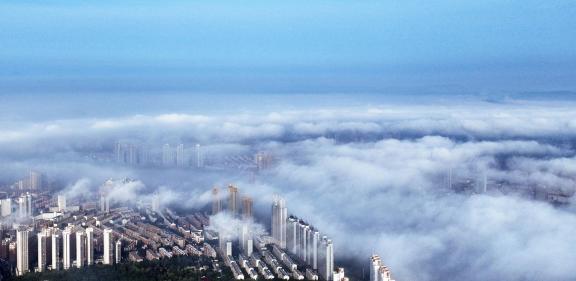 Mist Cover New City