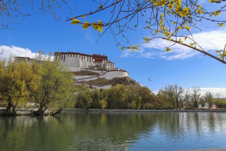 Potala Palace 2