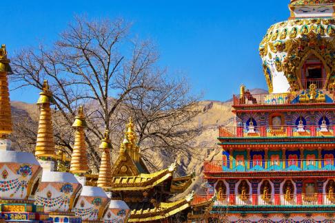 Tree and temples