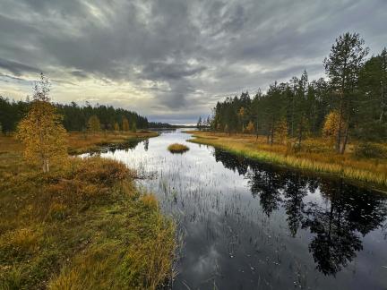 Autumn river