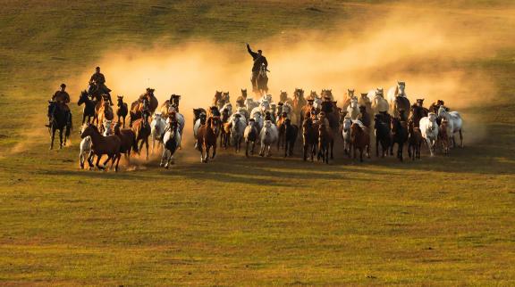 Galloping horses