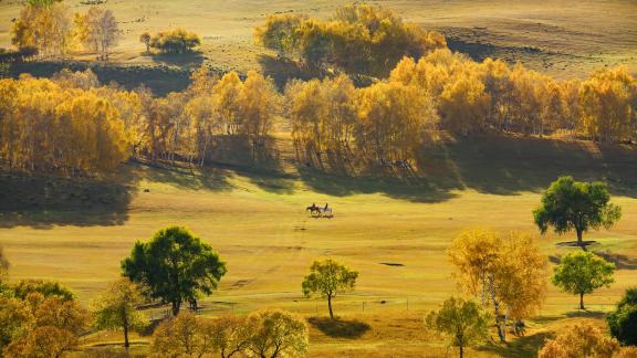 Golden autumn on the dam