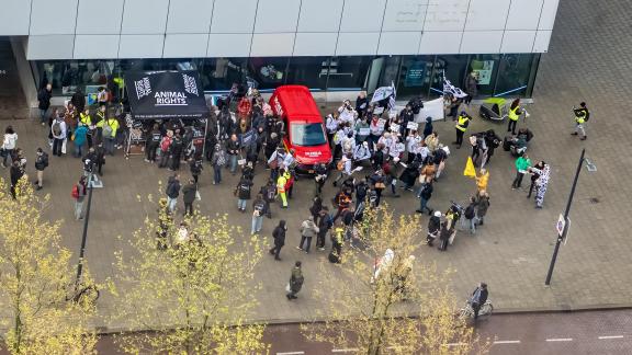 Rallying for Animal Rights Protest