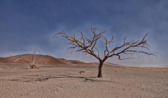 Deadvlei landscape