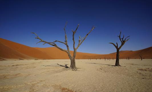 Deadvlei_18