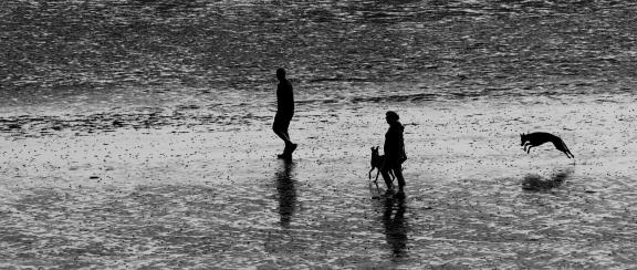 Beach silhouettes 2