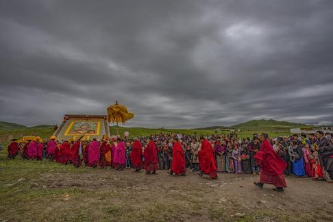 Big Group of Lama Thirty Three