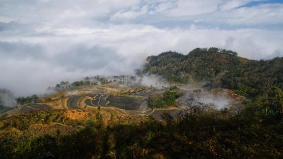 Sea of clouds in morning terraces