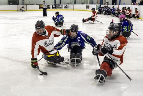 Sledge Hockey 90