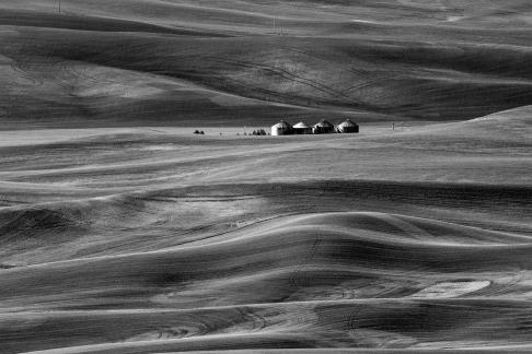 Palouse 9502