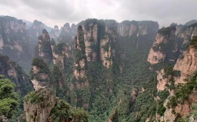 Zhangjiajie Scenery 8