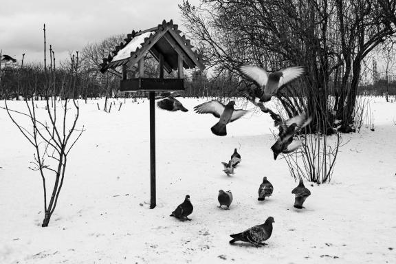 Pigeon House