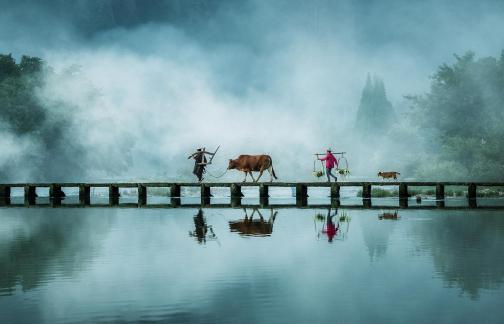 wonderland