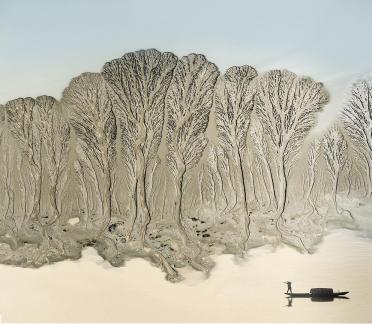 Traces of nature