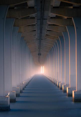 Light and Shadow of Time