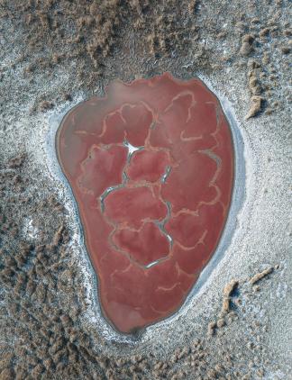 Red Heart​​  Within  Earths Chest